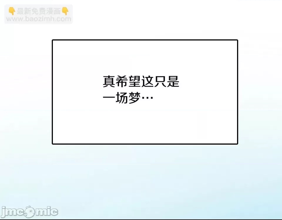 第 100 页