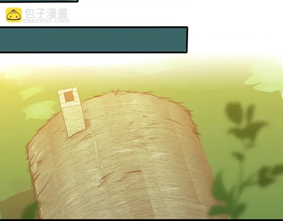 第 81 页