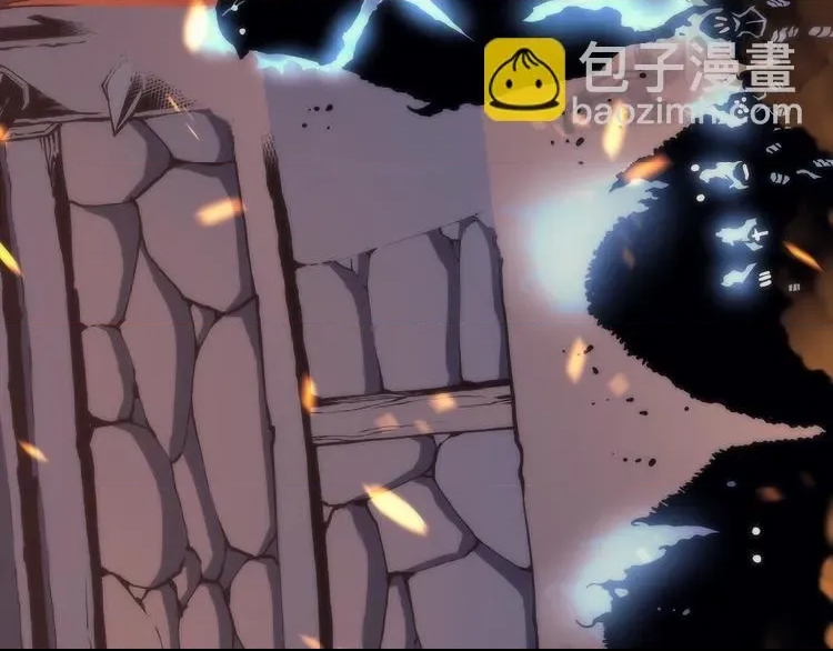 第 113 页