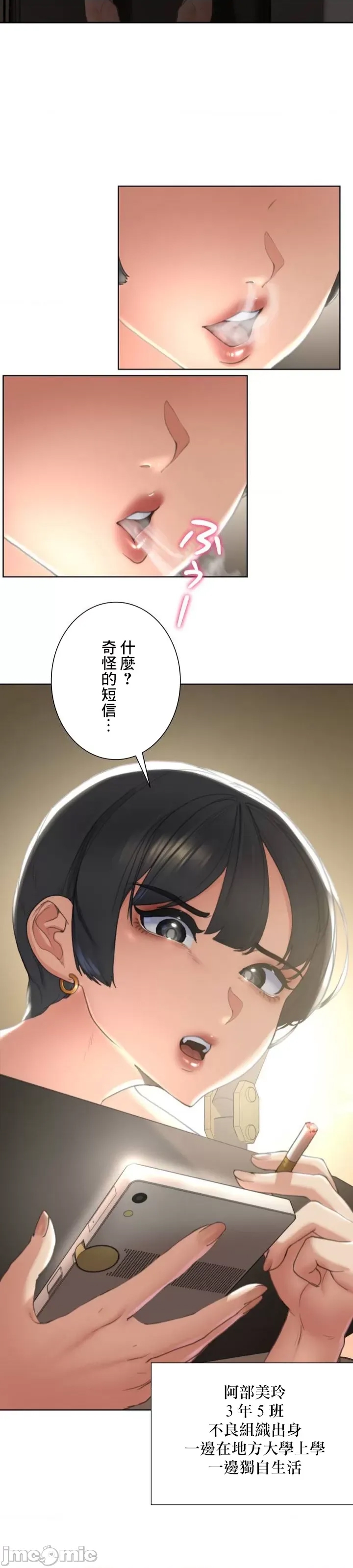 第 52 页