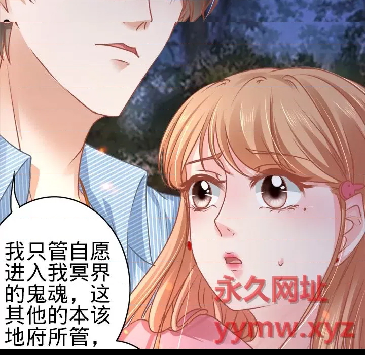 第 41 页