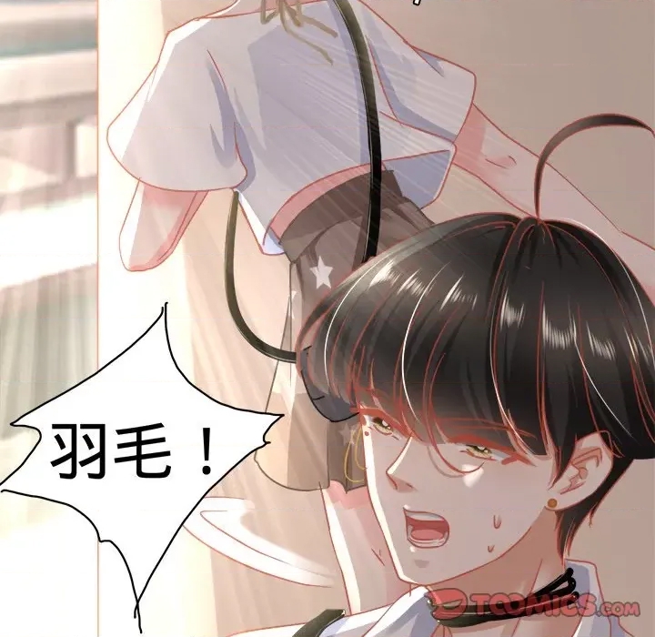 第 51 页