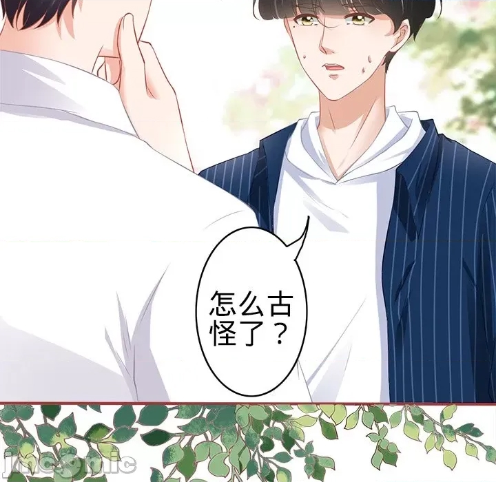 第 53 页