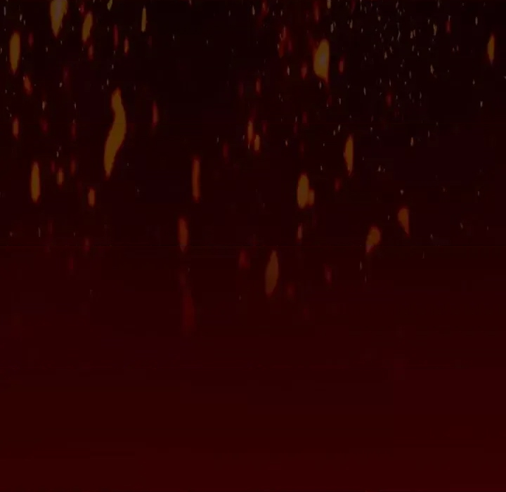第 100 页