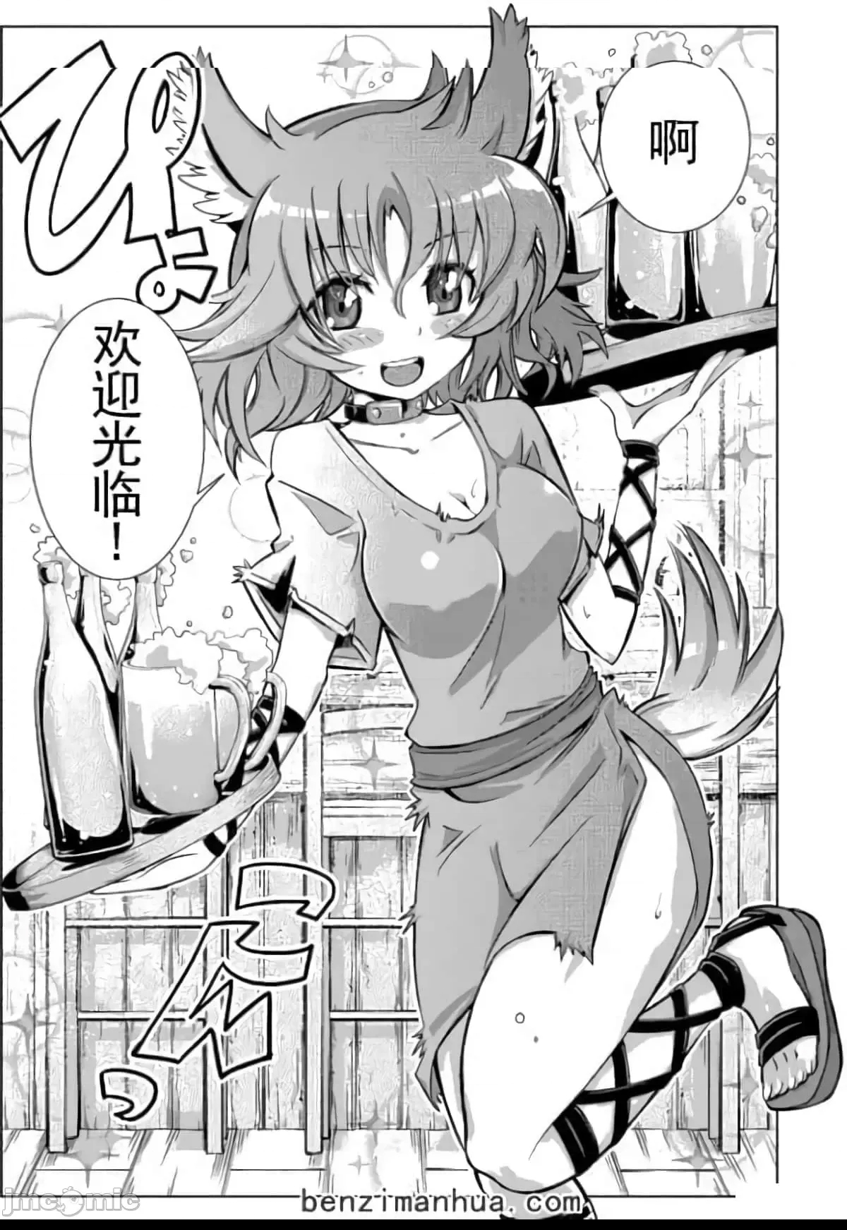 第 11 页
