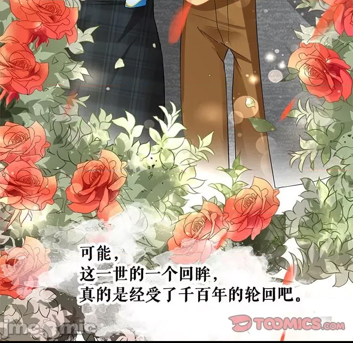第 68 页