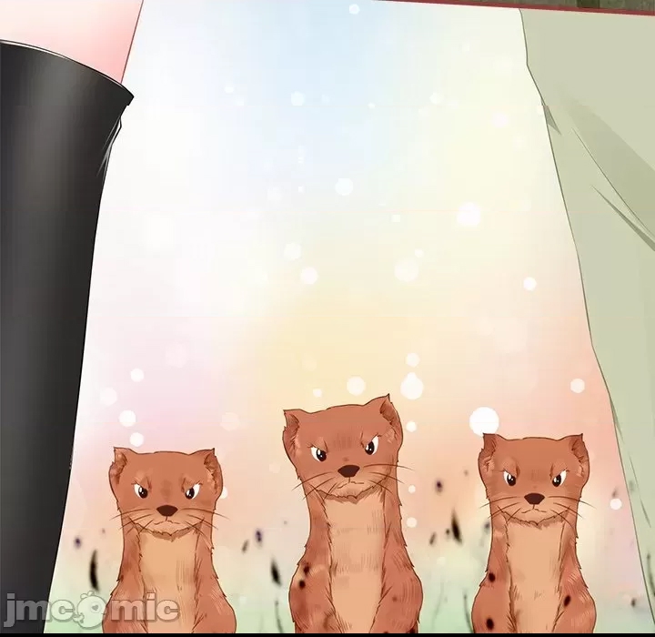 第 40 页