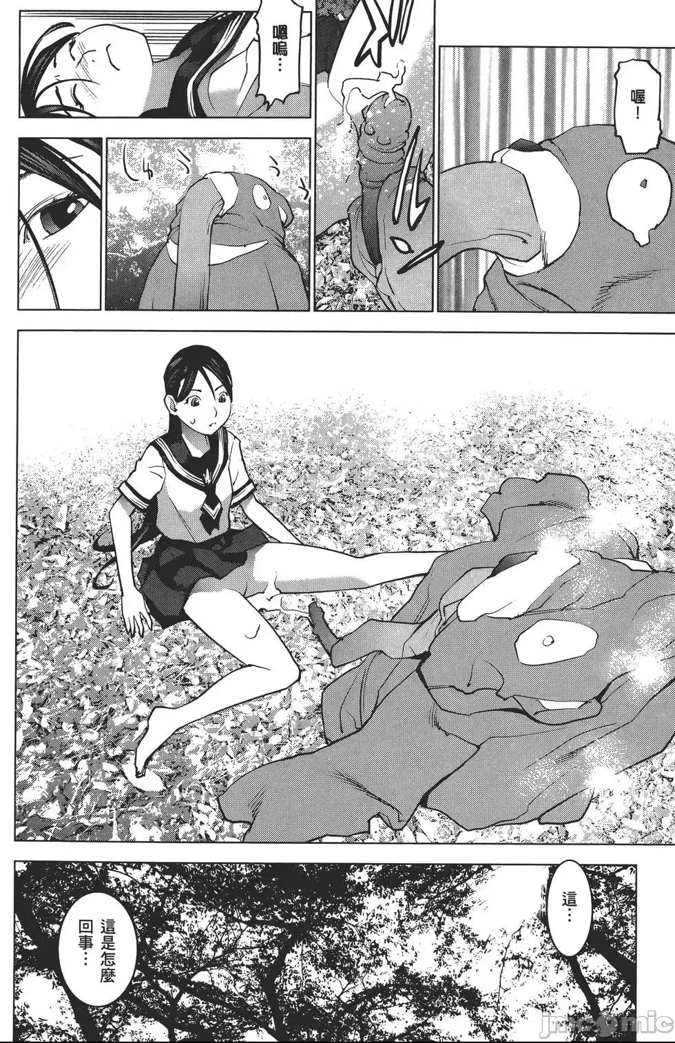 第 113 页
