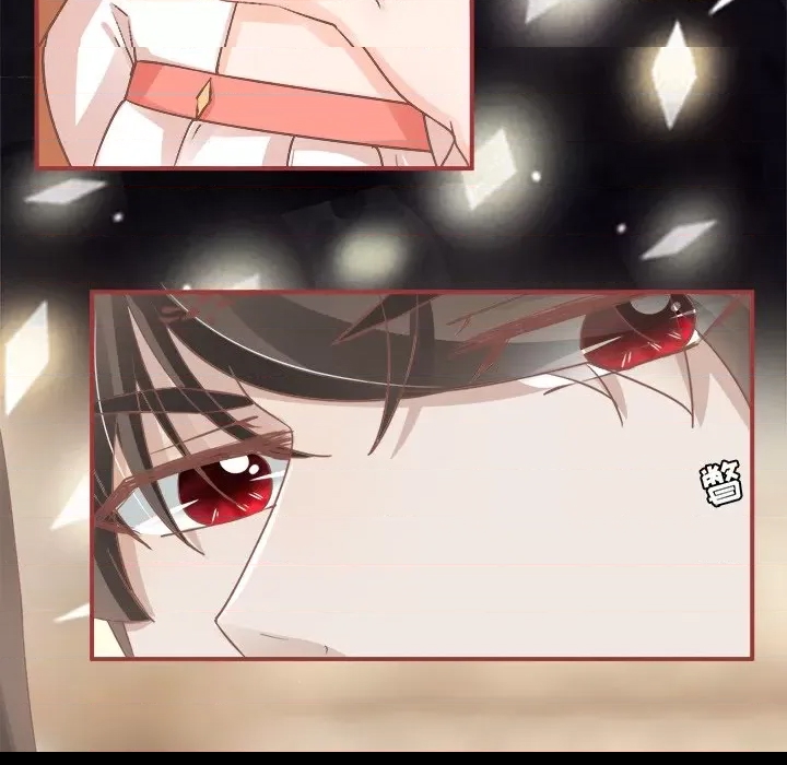 第 95 页