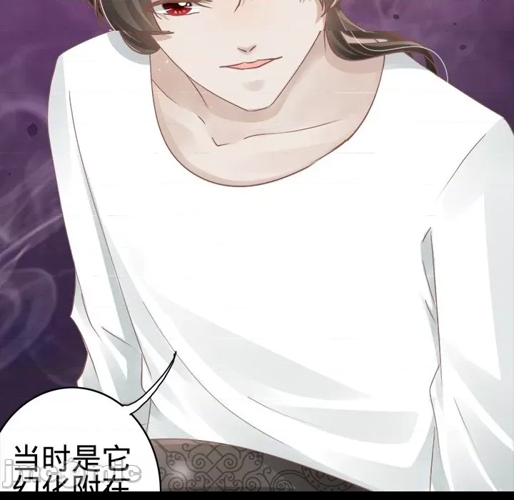 第 91 页