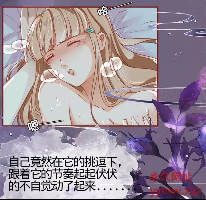 第 41 页