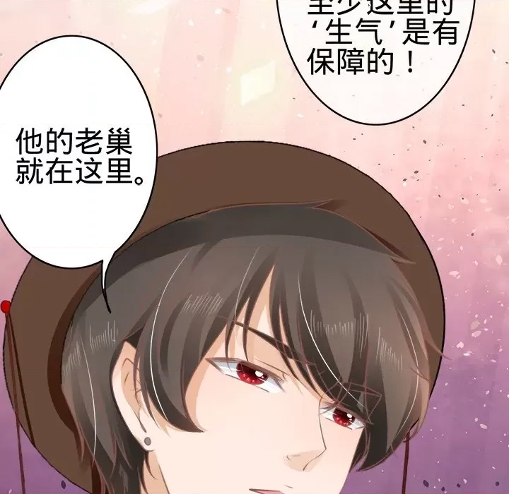 第 51 页