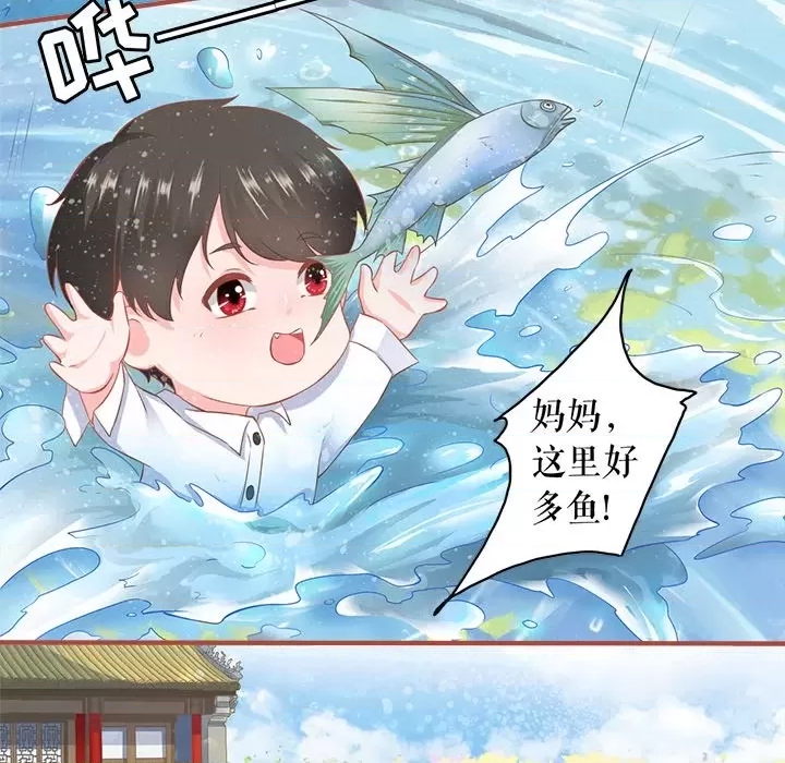 第 51 页
