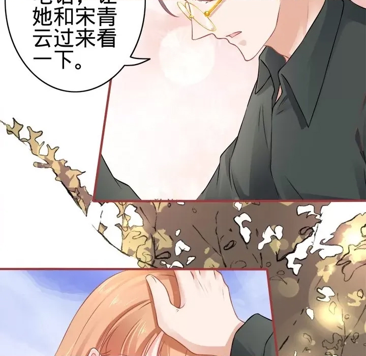 第 113 页