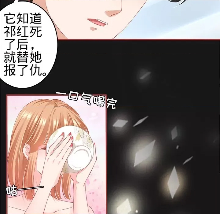 第 51 页