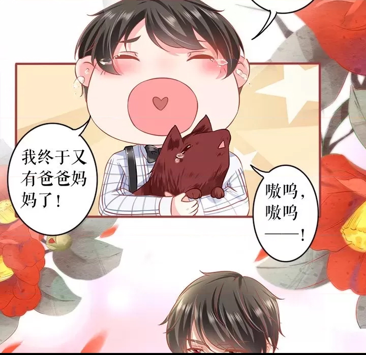 第 66 页