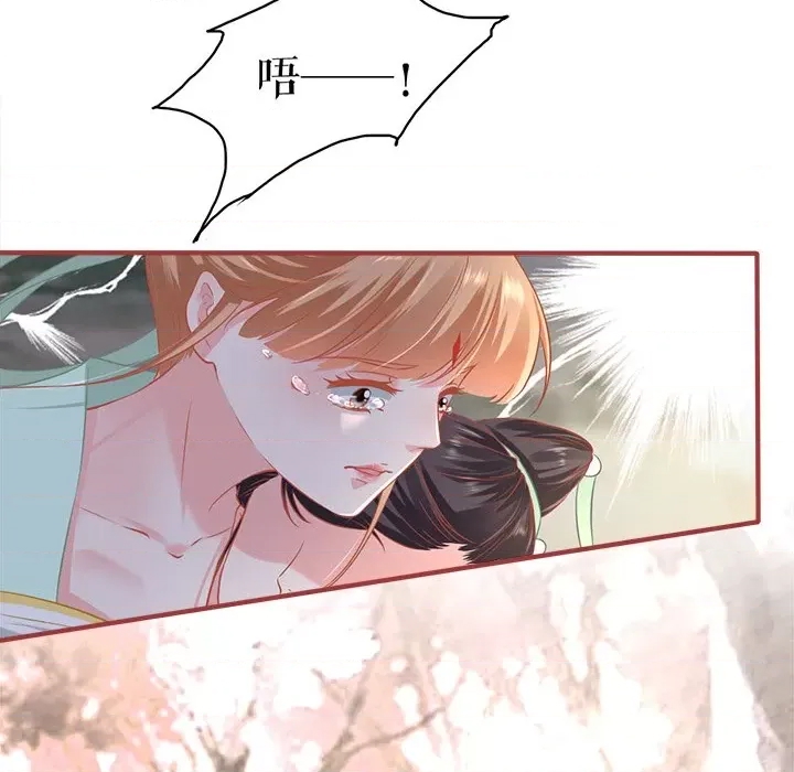 第 68 页
