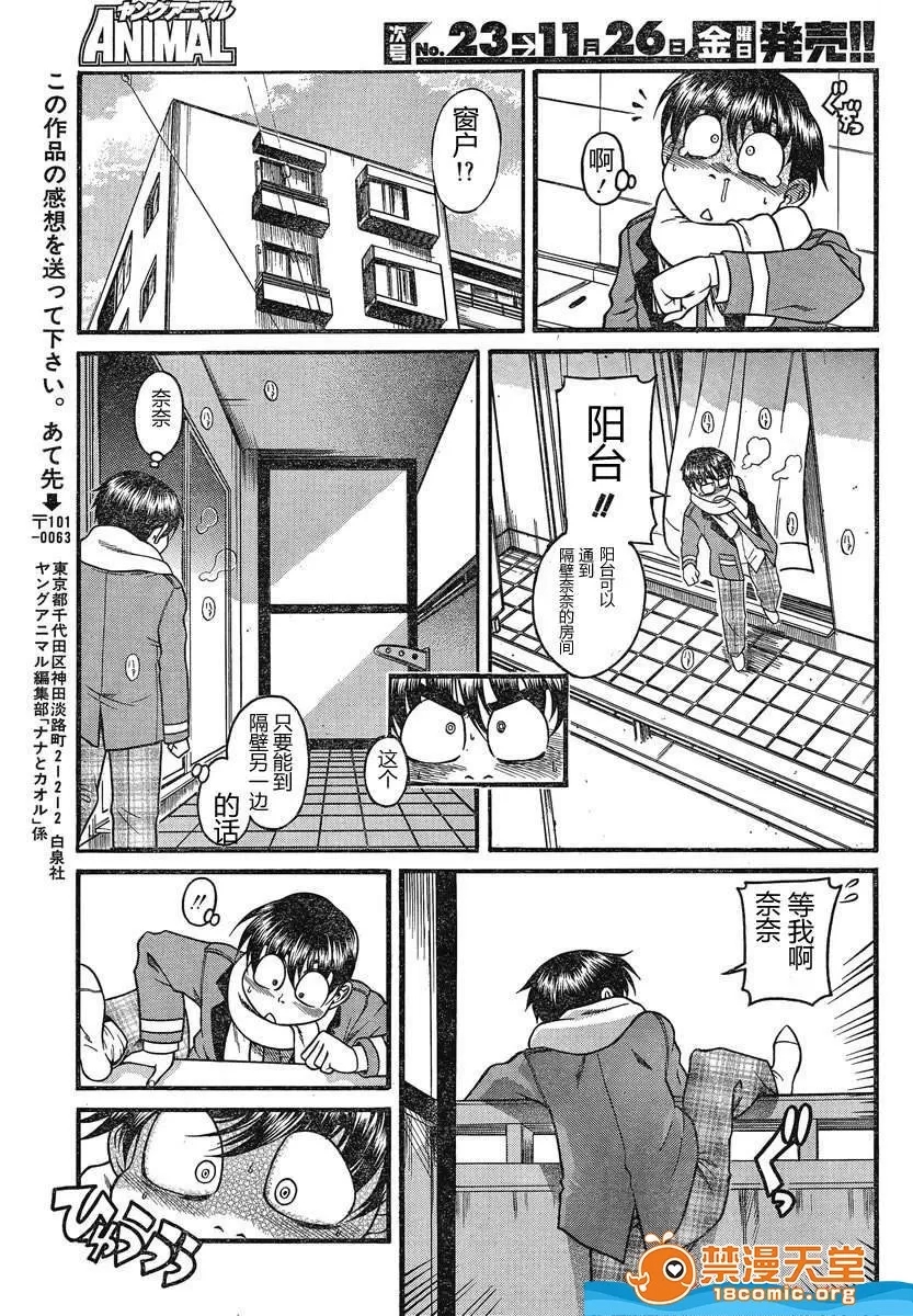 第 919 页