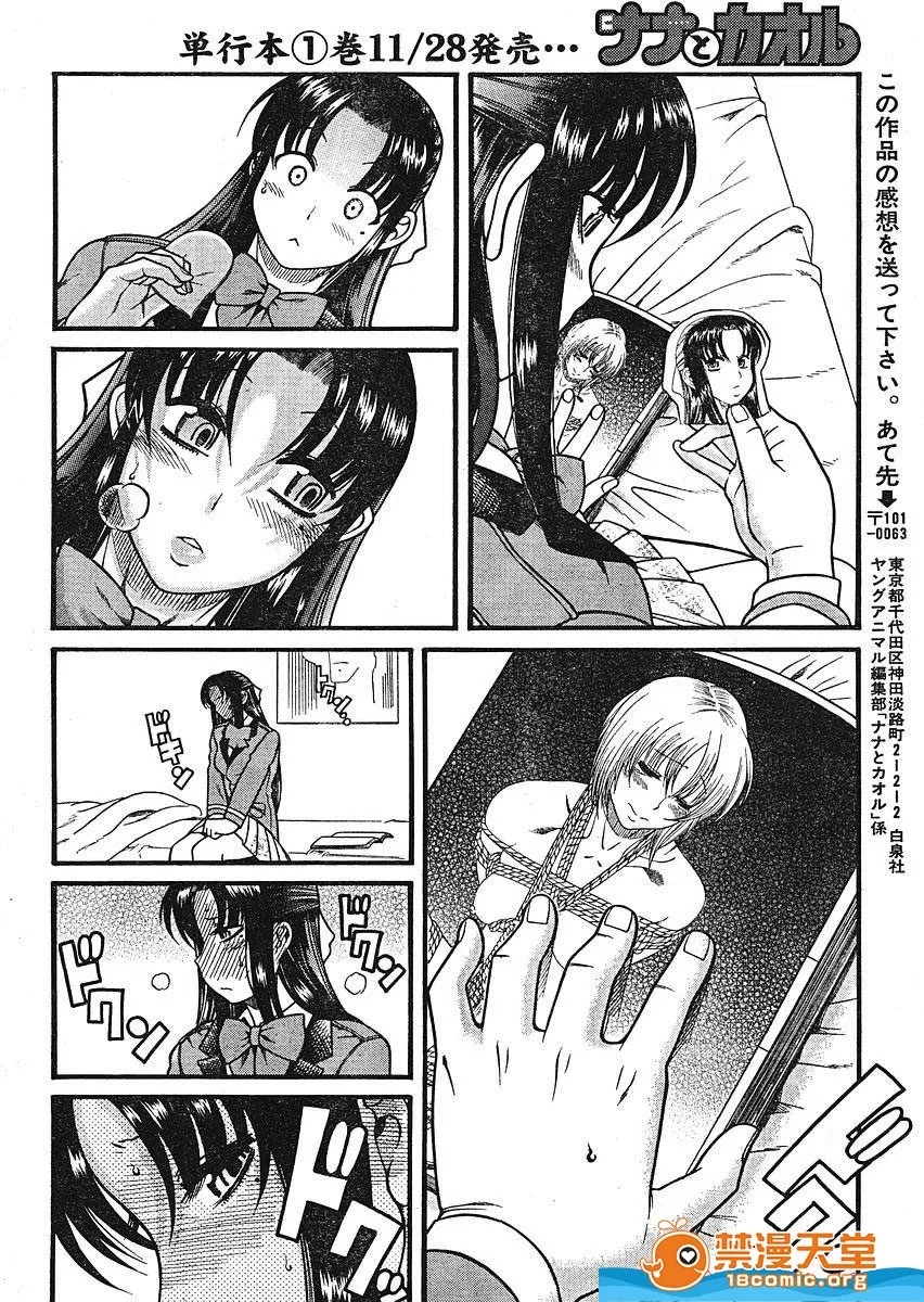 第 246 页