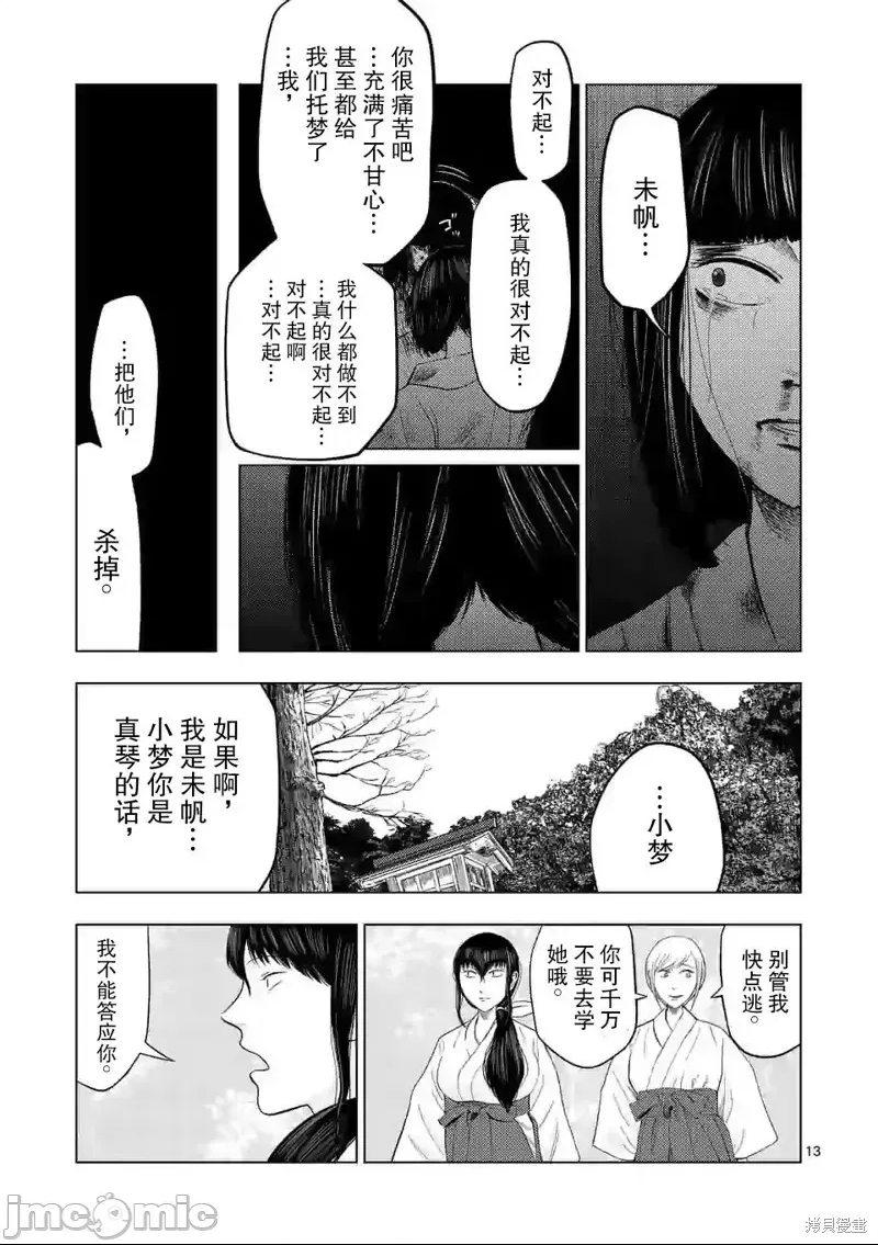 第 13 页