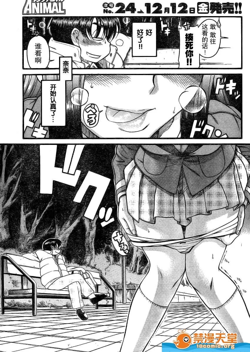 第 1240 页