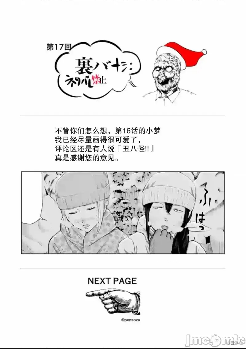 第 17 页