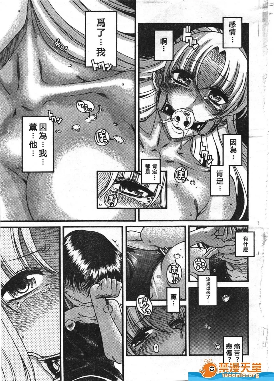 第 1204 页