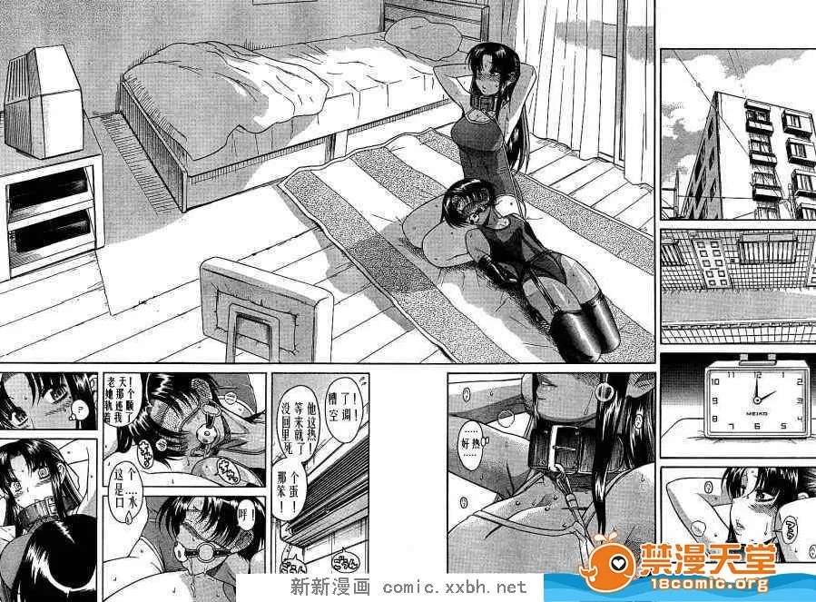 第 446 页