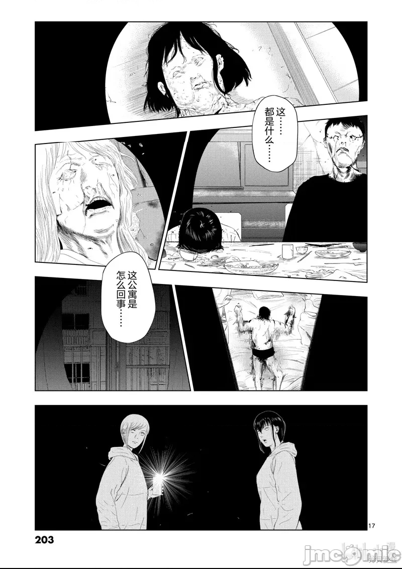 第 17 页
