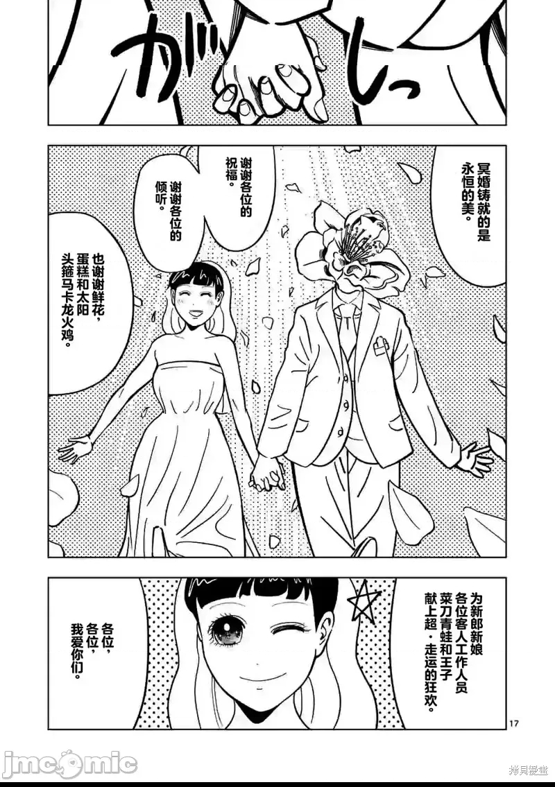 第 17 页