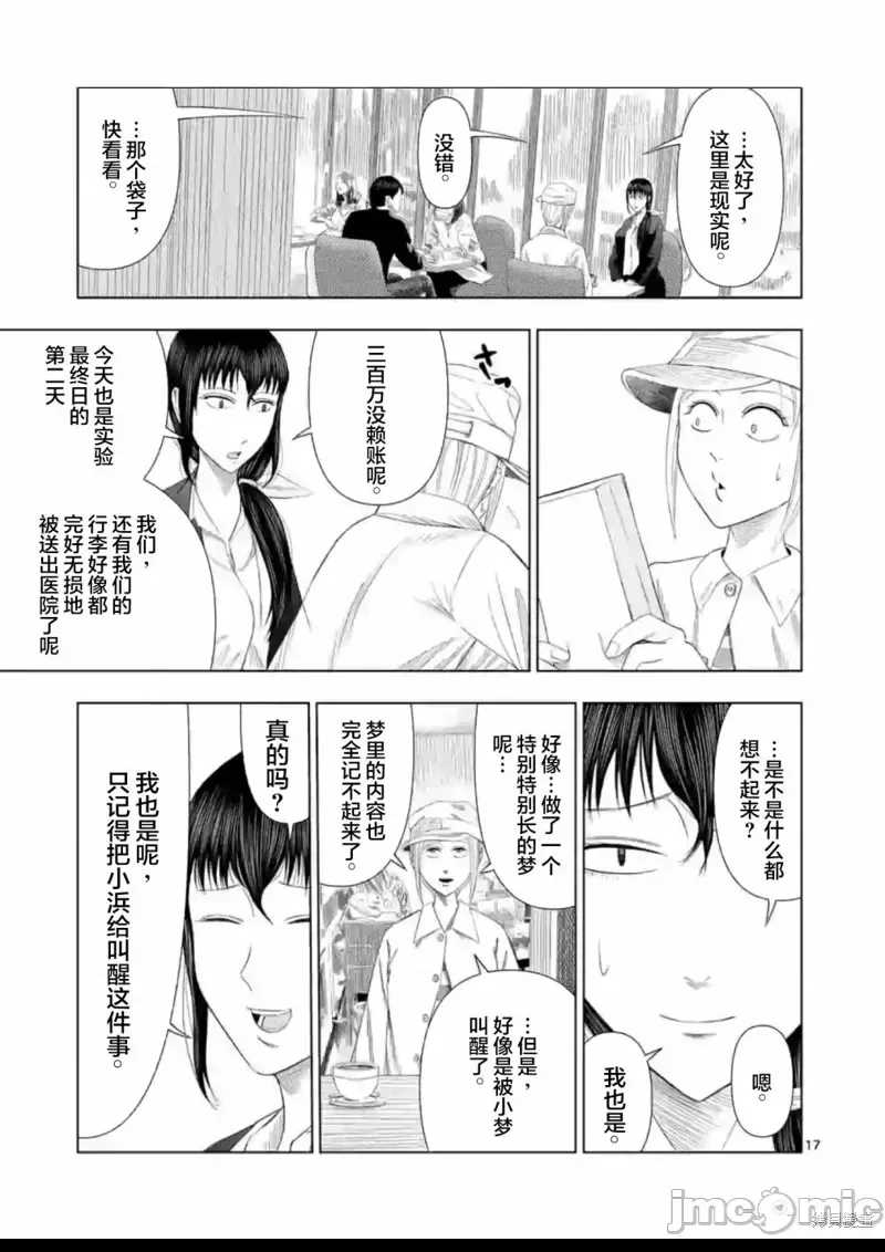 第 17 页
