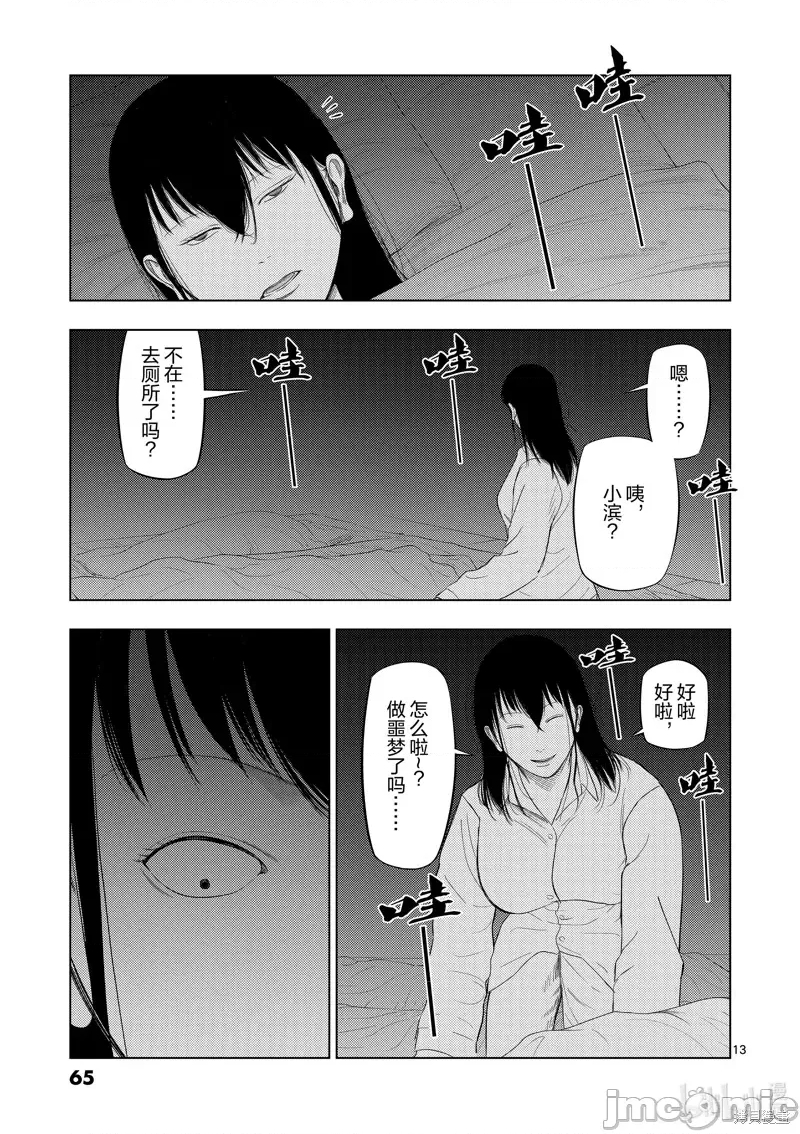 第 13 页