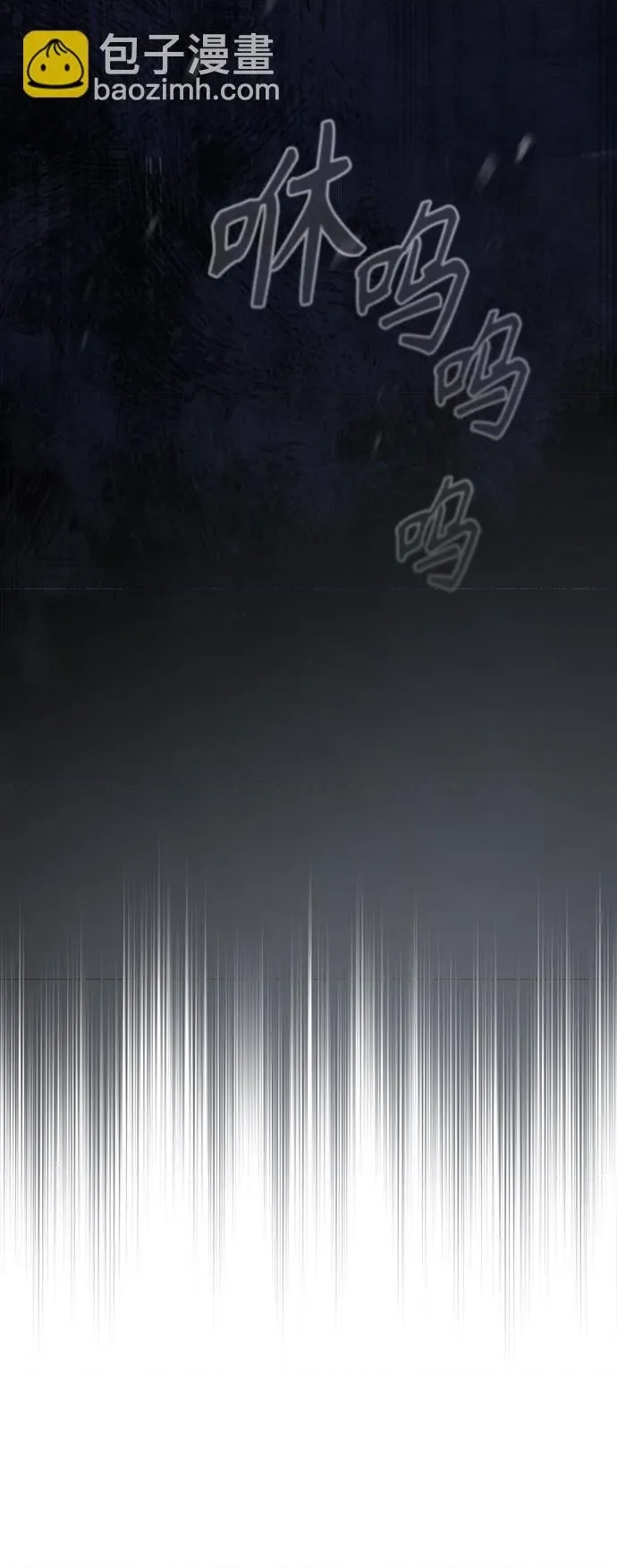 第 111 页