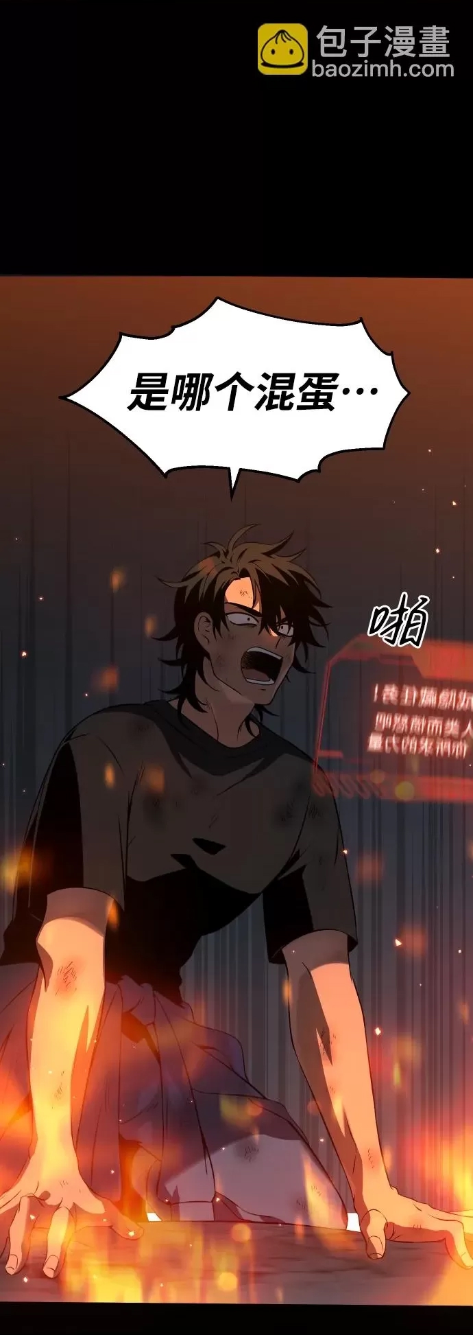 第 229 页