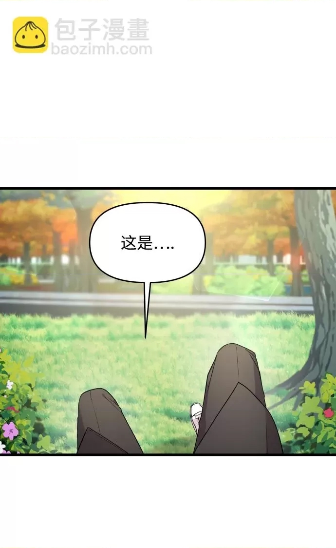 第 102 页