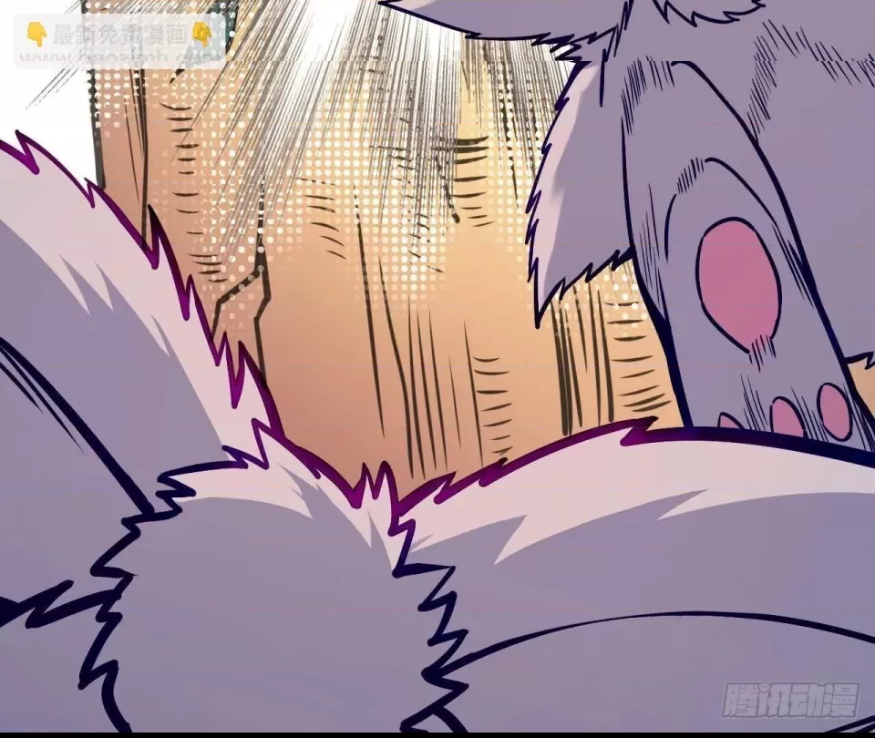 第 447 页
