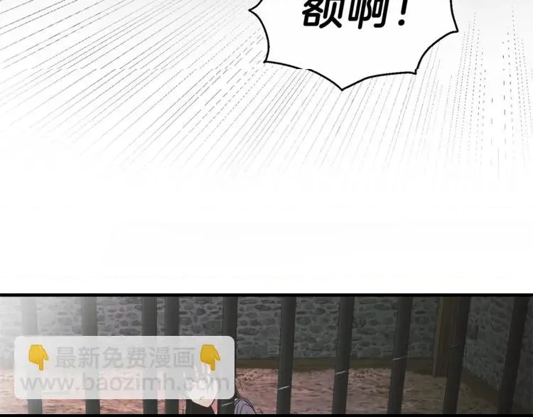 第 101 页