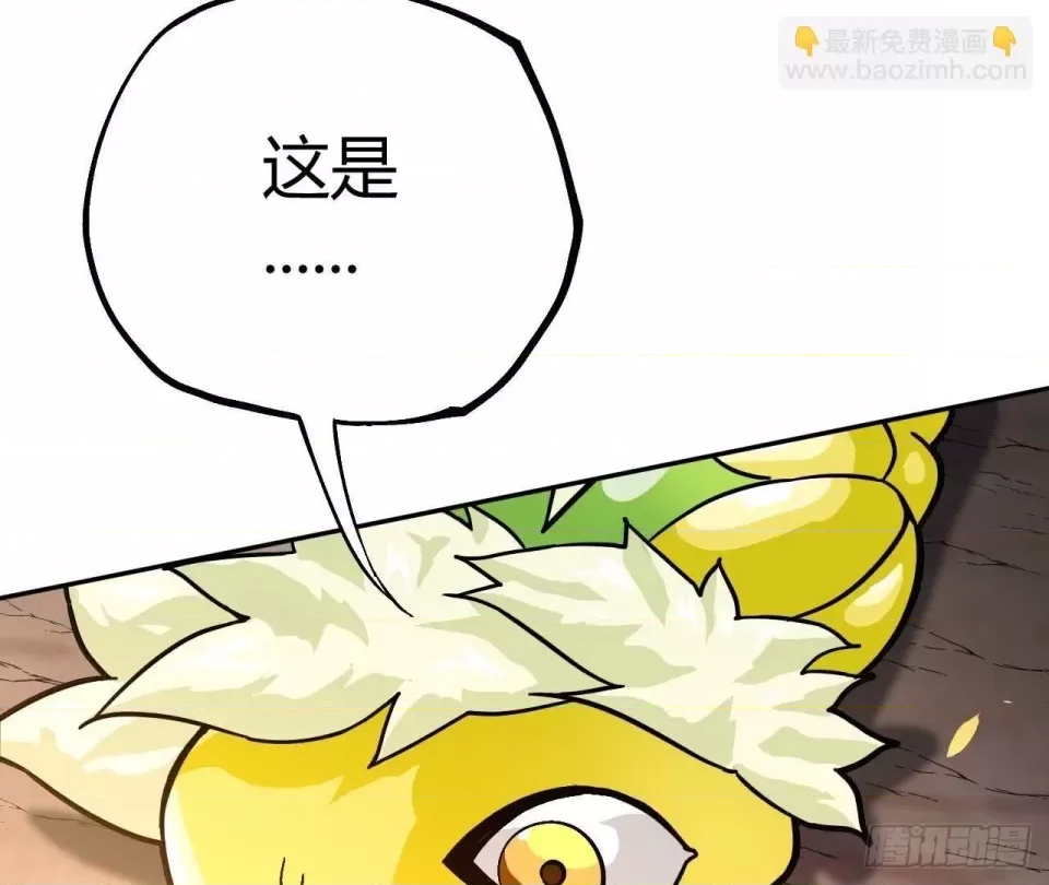 第 538 页