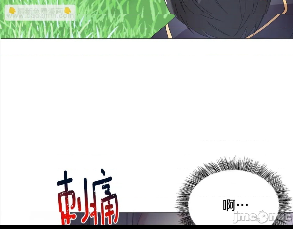 第 215 页