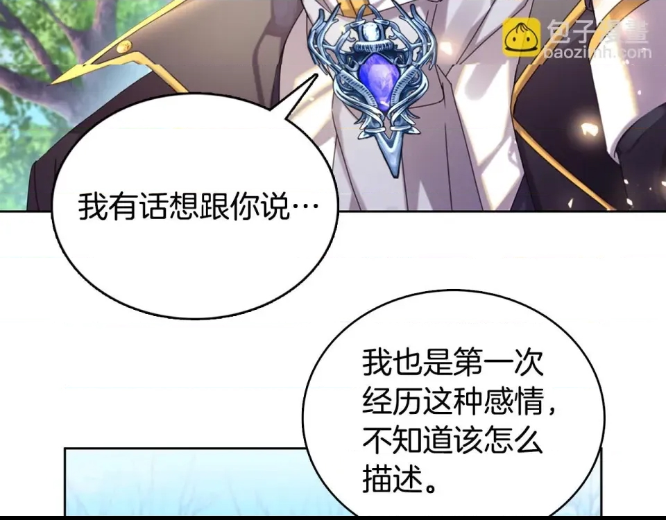 第 204 页