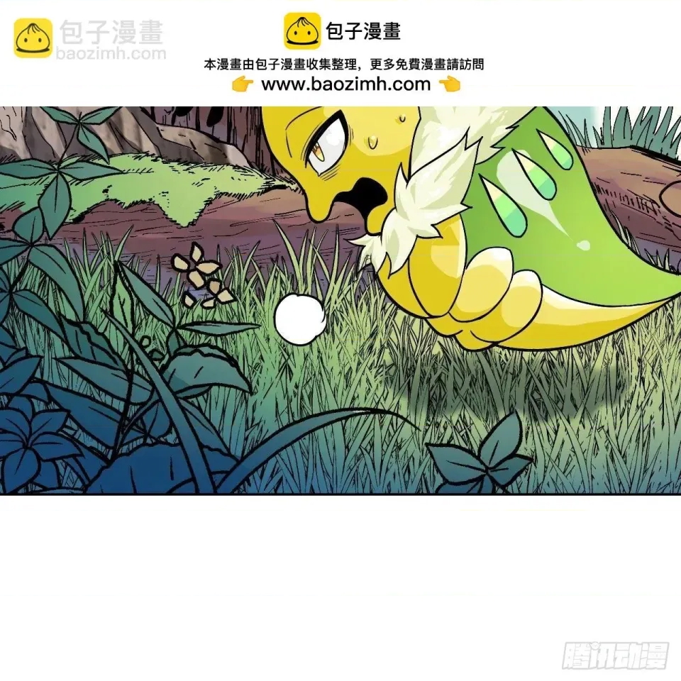 第 507 页