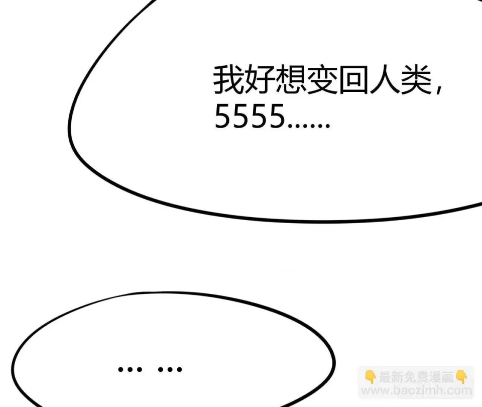 第 363 页