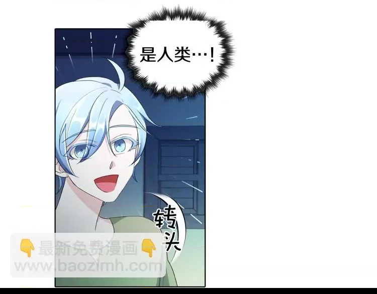 第 204 页