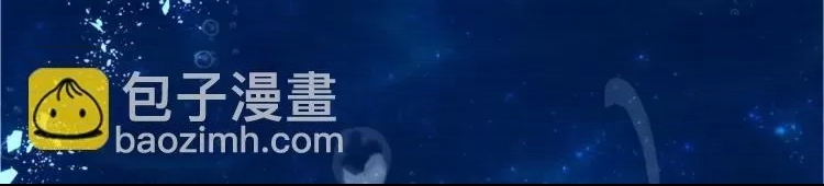 第 113 页
