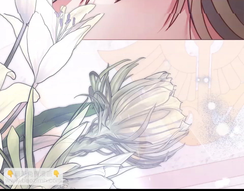 第 142 页