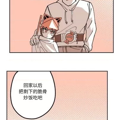 第 66 页