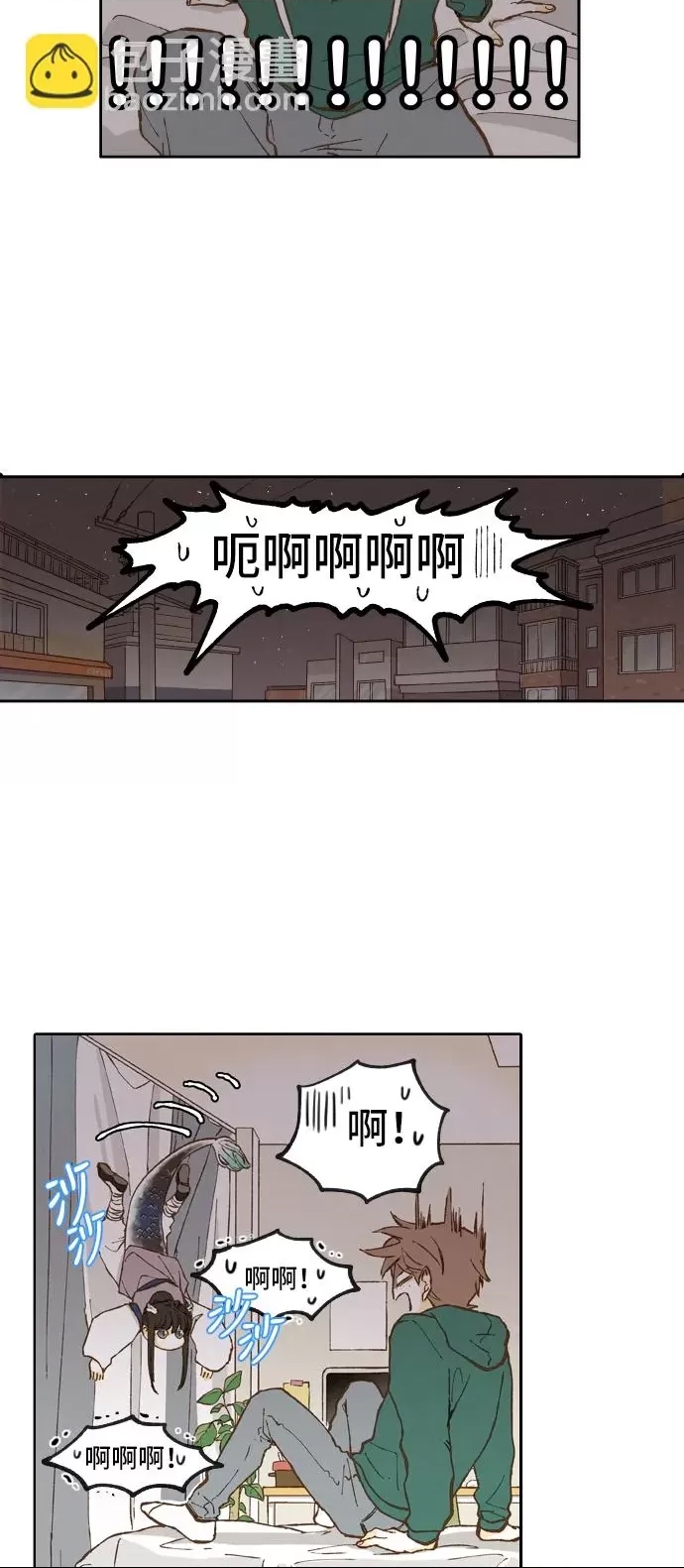 第 31 页