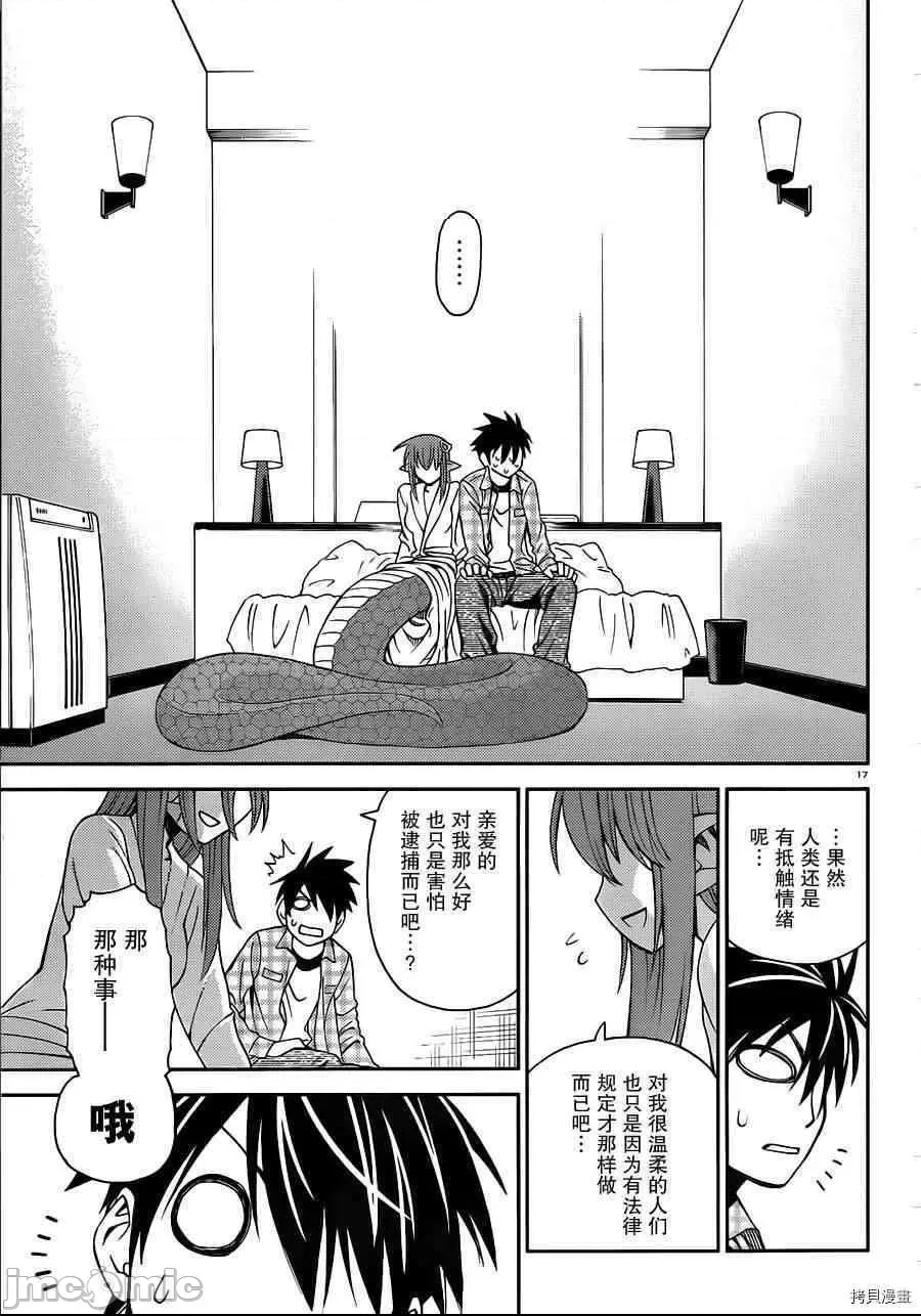 第 17 页