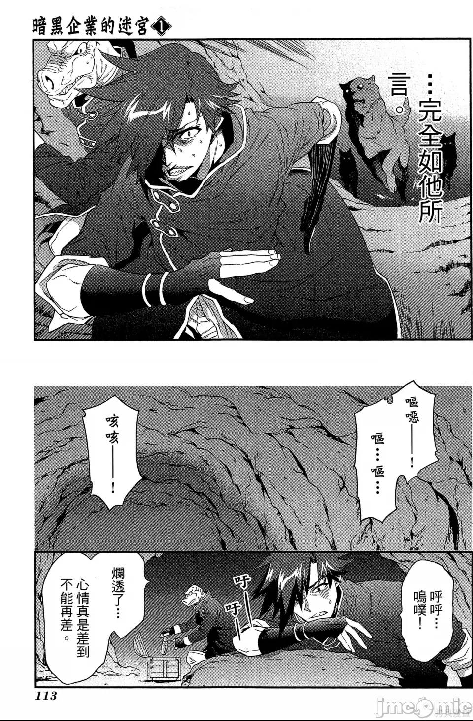 第 113 页