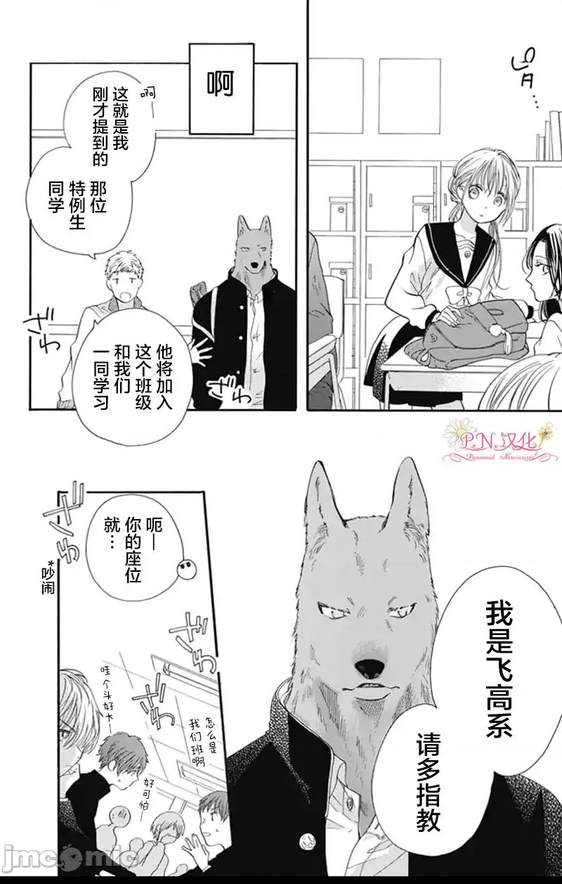 第 13 页